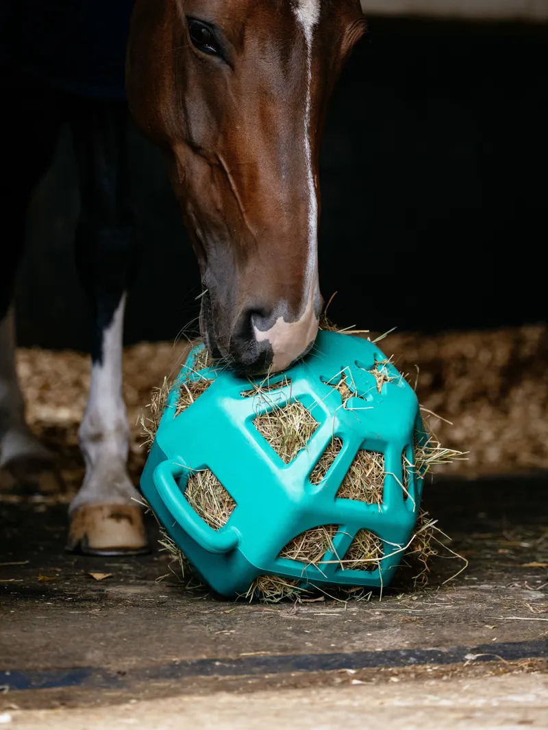 LeMieux Hay Ball Lagoon-4