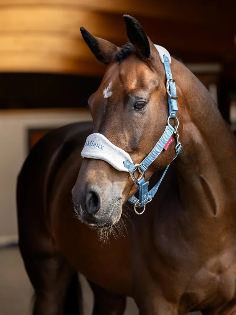 LeMieux Vogue Headcollar and Leadrope in Ice Blue-1