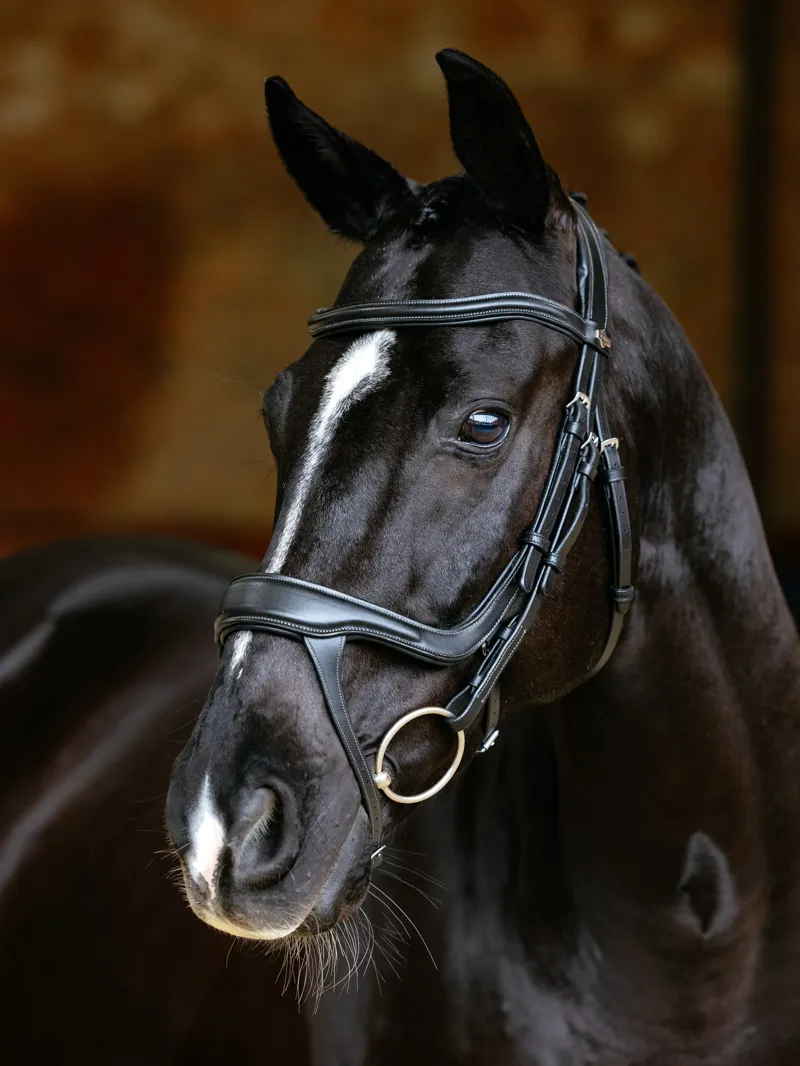 LeMieux Arika Split Noseband Bridle Black-3
