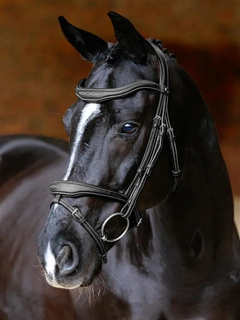 LeMieux Kudos Contour Flash Bridle Black-1