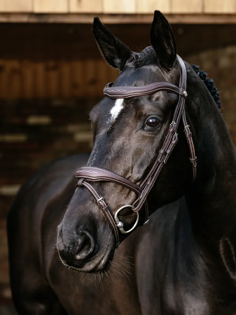 LeMieux Kudos Contour Flash Bridle Brown-1