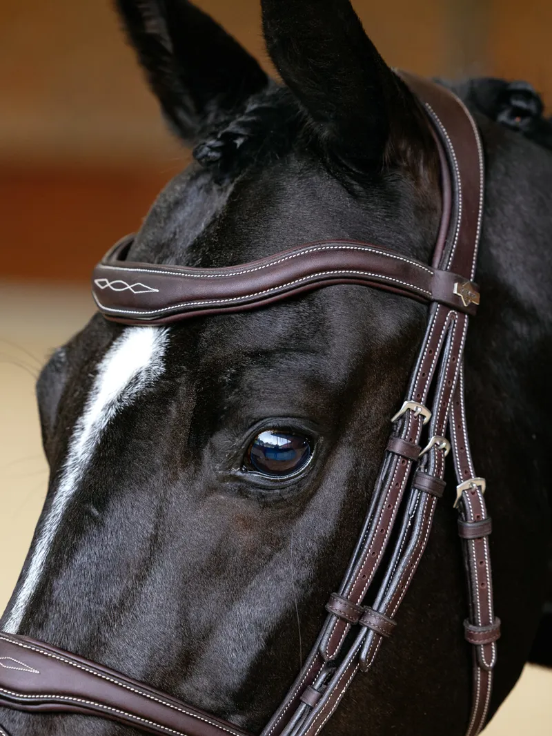 LeMieux Kudos Contour Flash Bridle Brown-2
