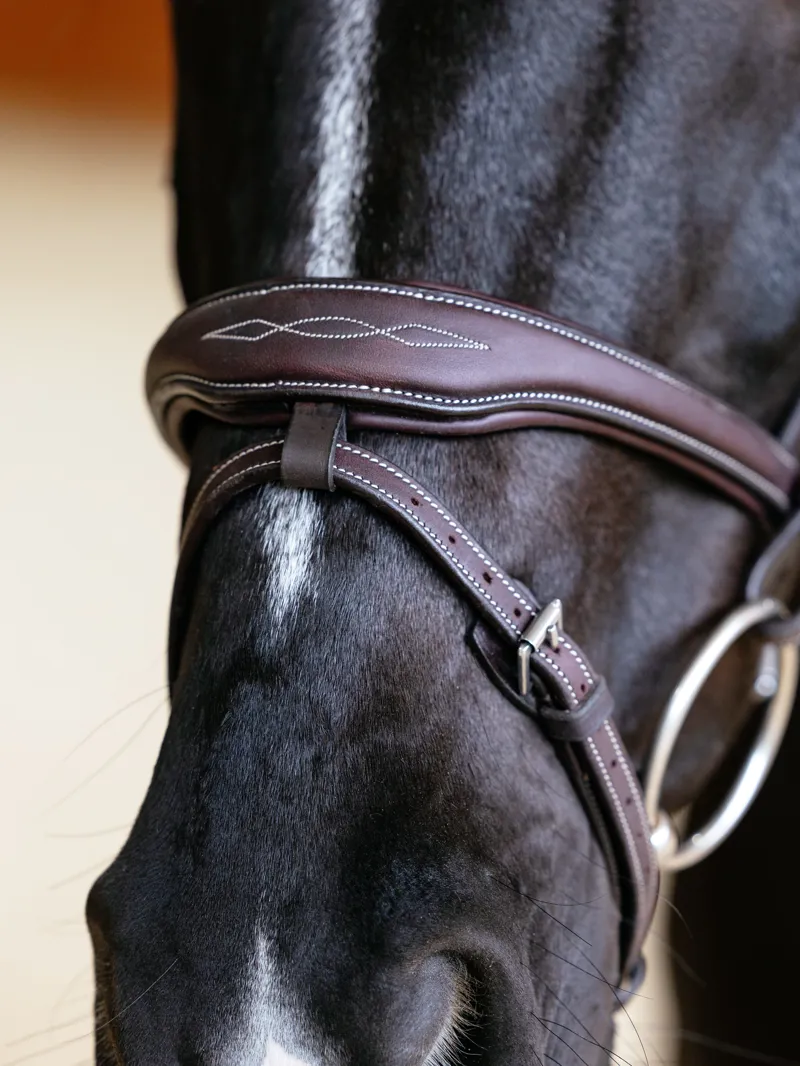 LeMieux Kudos Contour Flash Bridle Brown-3