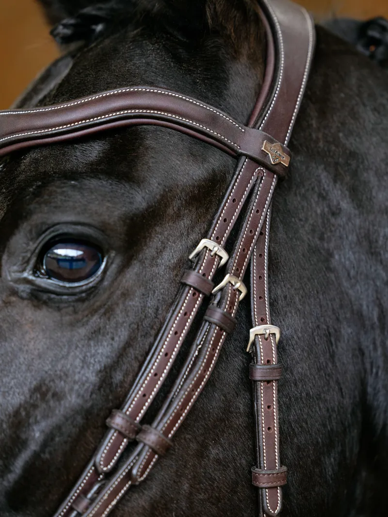 LeMieux Kudos Contour Flash Bridle Brown-4