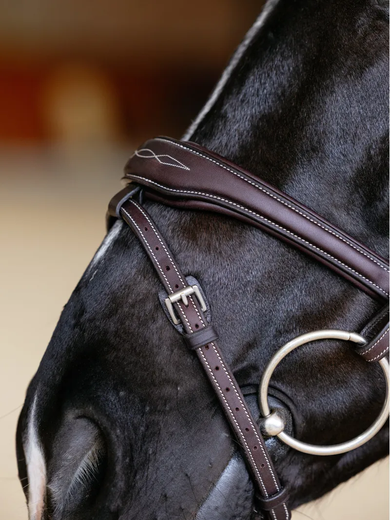 LeMieux Kudos Contour Flash Bridle Brown-5