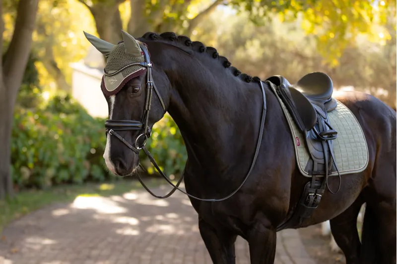 LeMieux Classic Fly Hood Rosemary-1