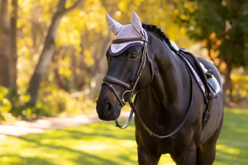 LeMieux Classic Fly Hood Lilac-2