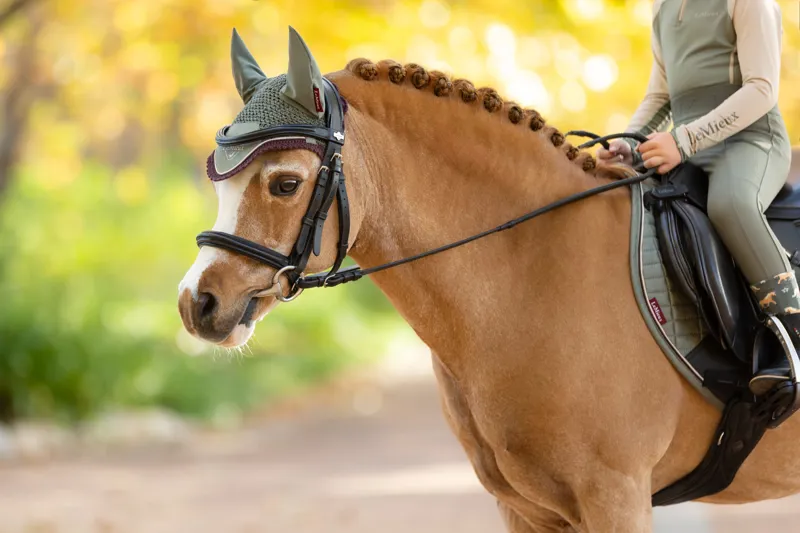 LeMieux Mini Classic Fly Hood Rosemary-1