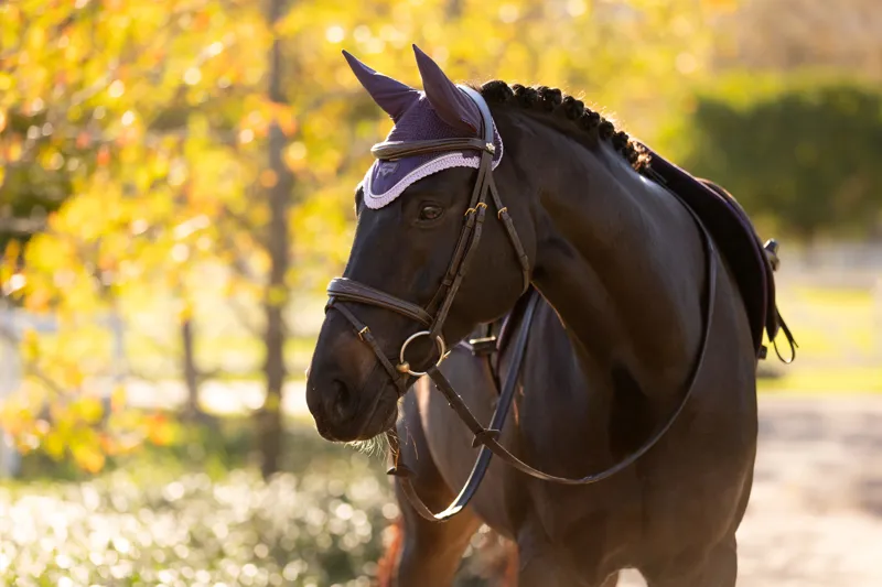 LeMieux Loire Fly Hood Juniper-2