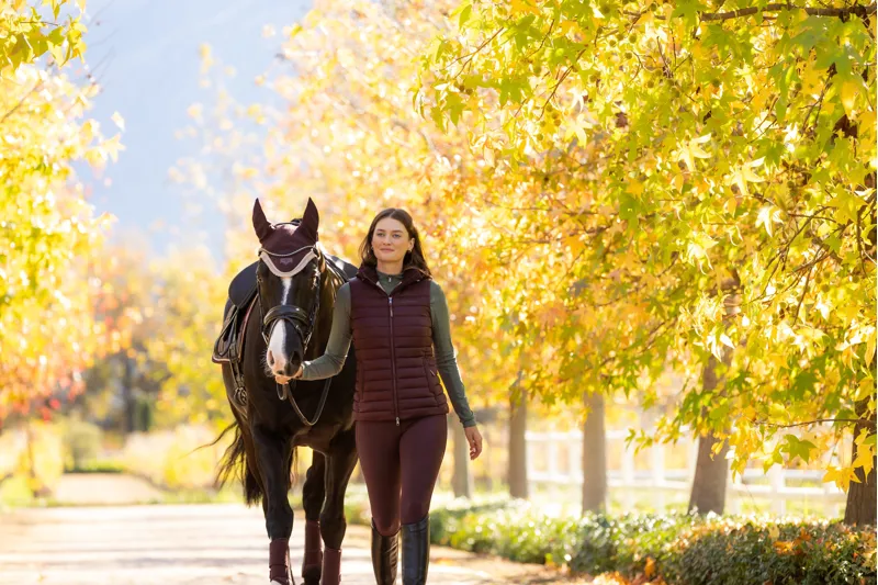LeMieux Loire Fly Hood Damson-1