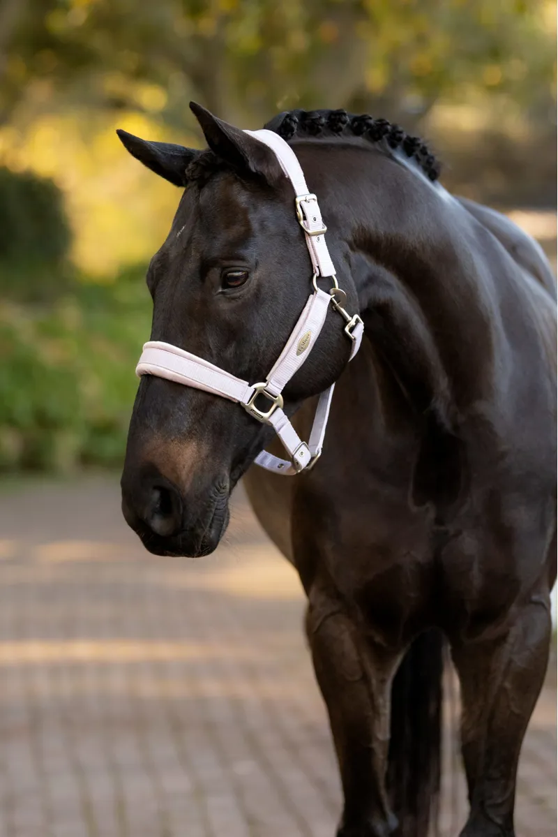 LeMieux Versailles Headcollar Lilac-1