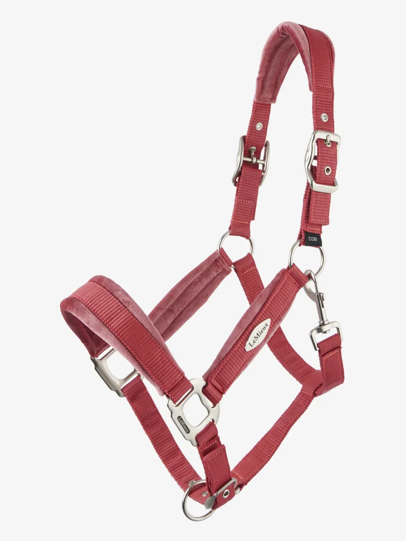 LeMieux Versailles Headcollar Cranberry