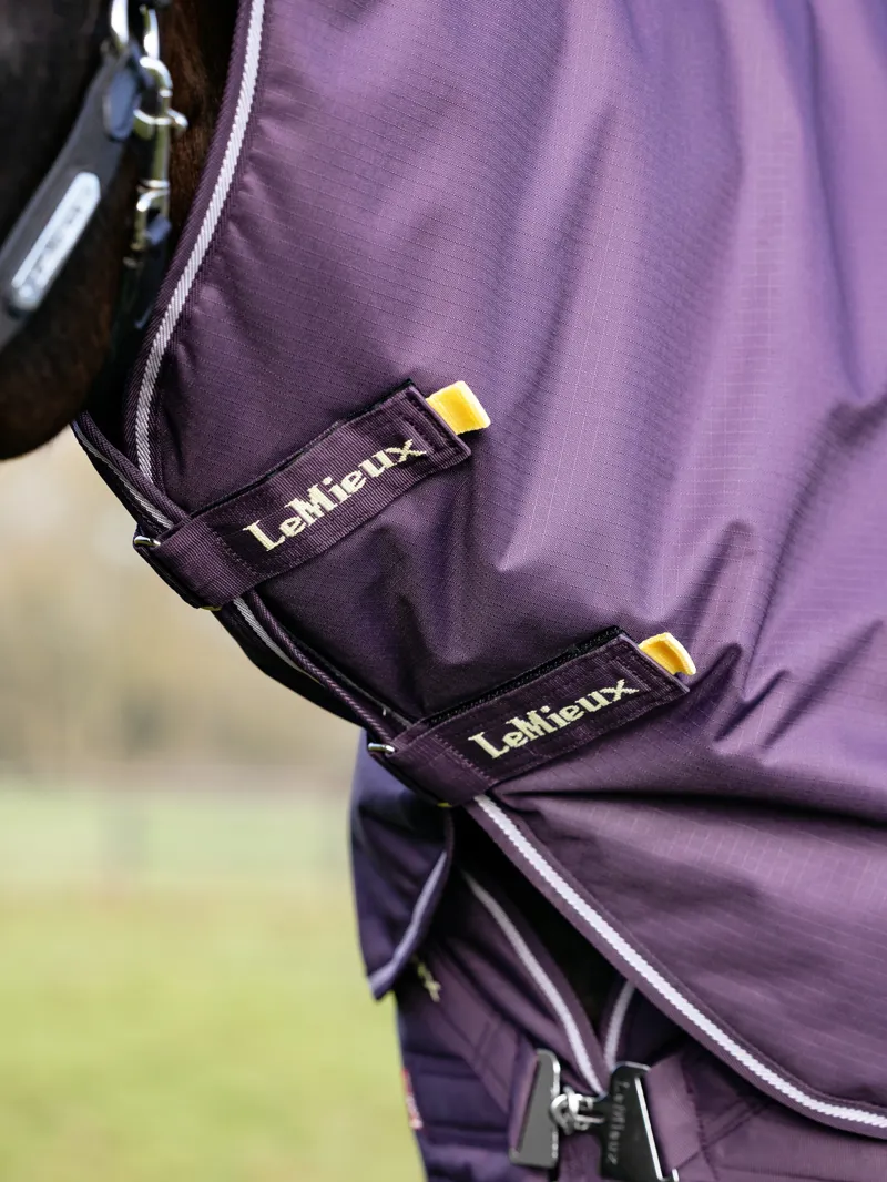 LeMieux Arika Ripstop 100g Turnout Rug Juniper-4