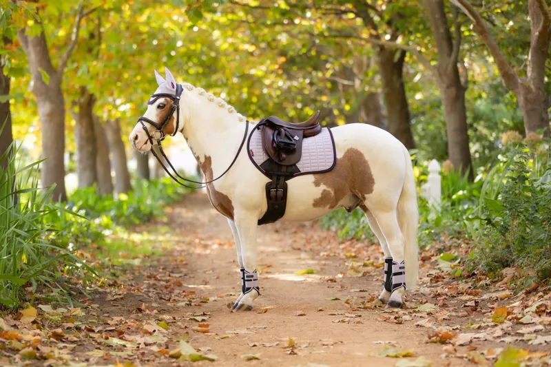 LeMieux Mini Suede Close Contact Square Lilac-1