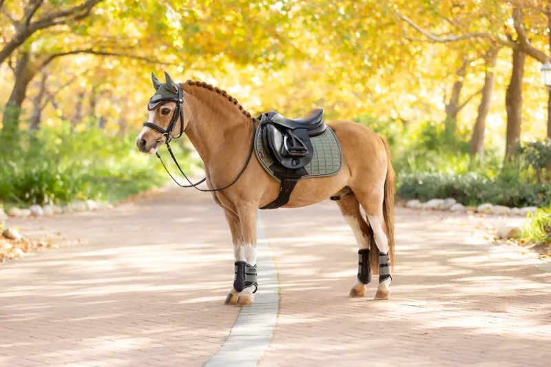 LeMieux Mini Suede Close Contact Square Rosemary-1