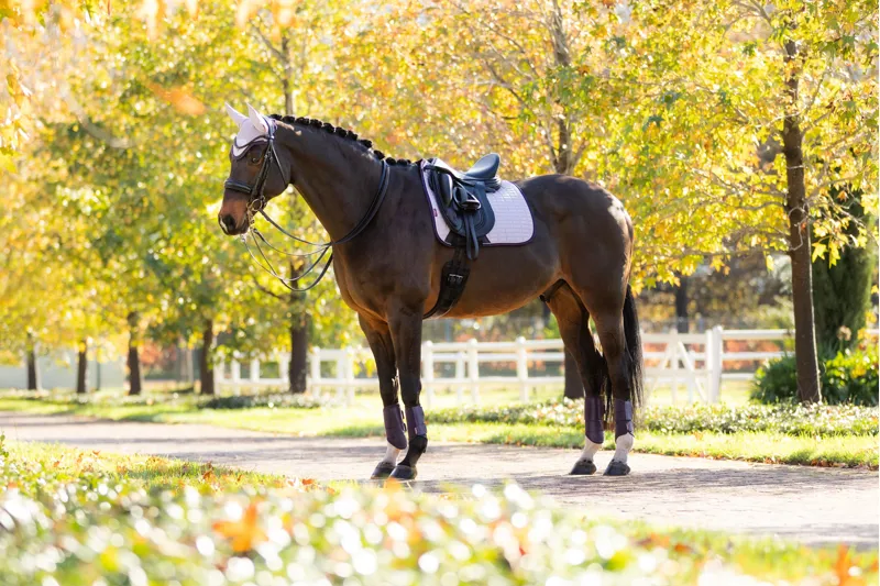 LeMieux Suede Dressage Square Lilac-3