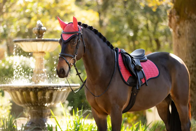 LeMieux Suede GP Square Cranberry-3