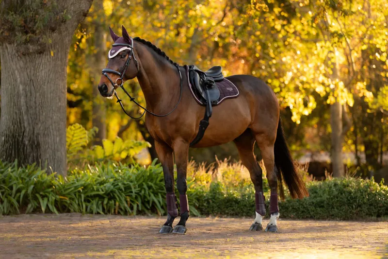 LeMieux Loire Classic GP Square Damson-2