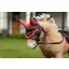 LeMieux Toy Pony Fly Hood Cranberry