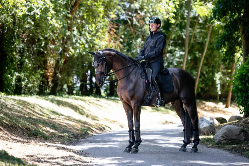LeMieux Mens Softshell Jacket Black-4