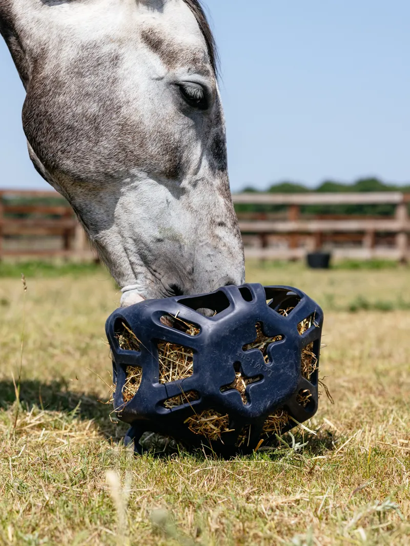 LeMieux Hay Ball Navy-3