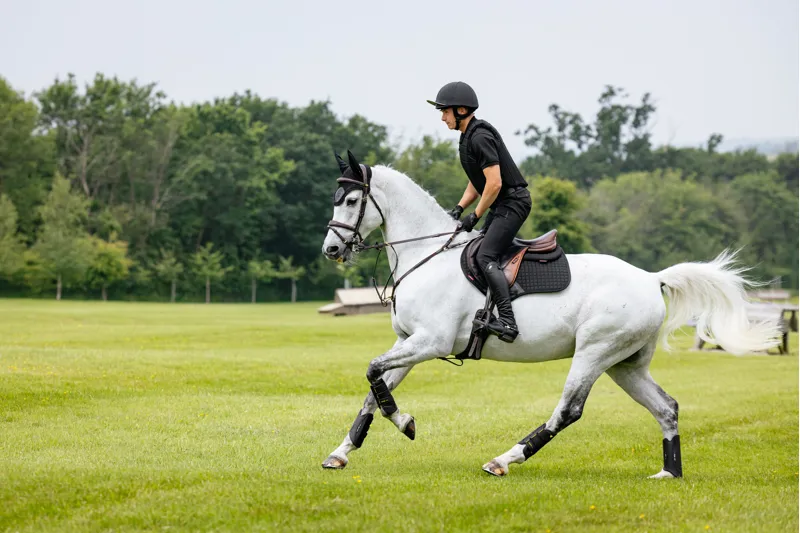 LeMieux Cotton Close Contact Square Black-1