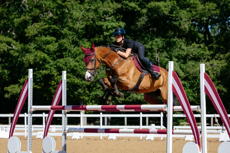 LeMieux Cotton Close Contact Square Burgundy-1