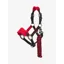 Mini Vogue Headcollar and Leadrope Chilli