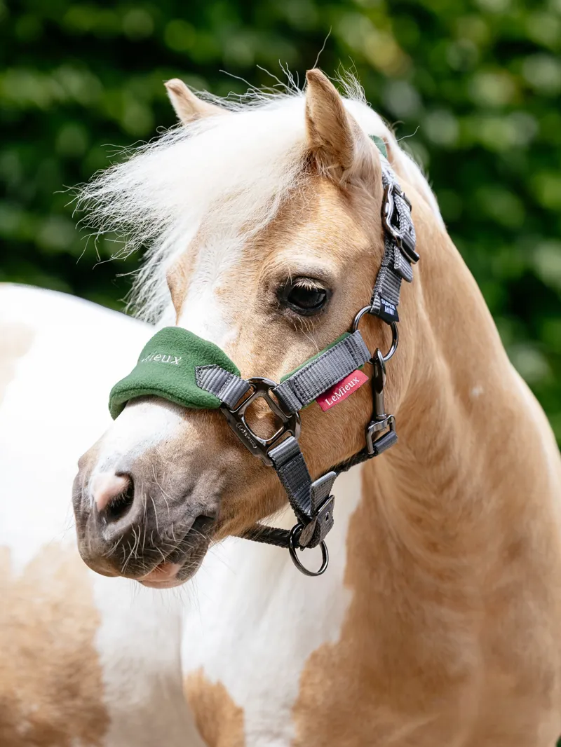 Mini Vogue Headcollar and Leadrope Hunter Green-1
