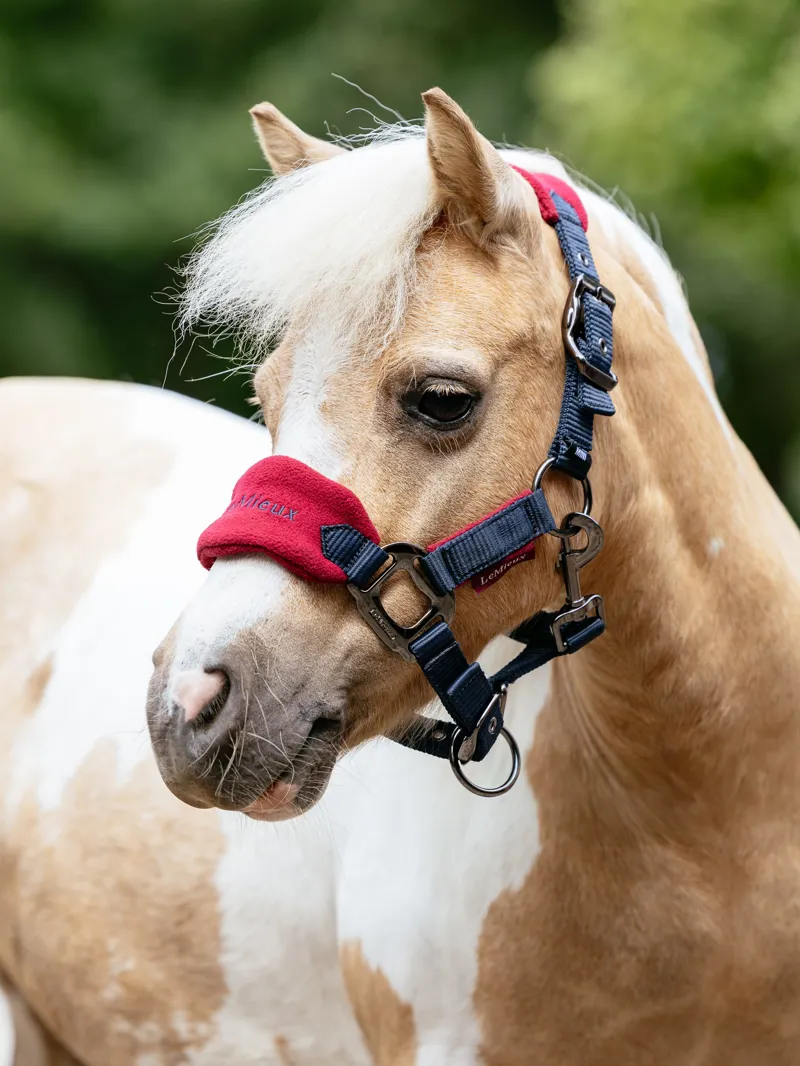 Mini Vogue Headcollar and Leadrope Burgundy-1