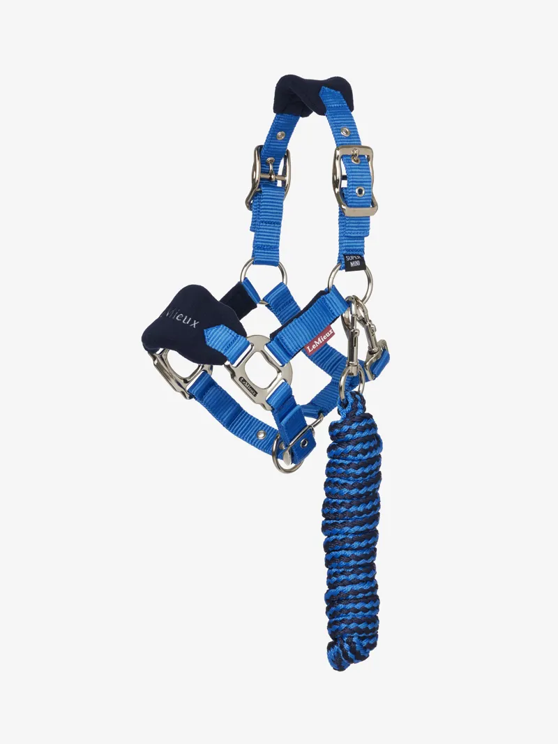 Mini Vogue Headcollar and Leadrope Benetton Blue