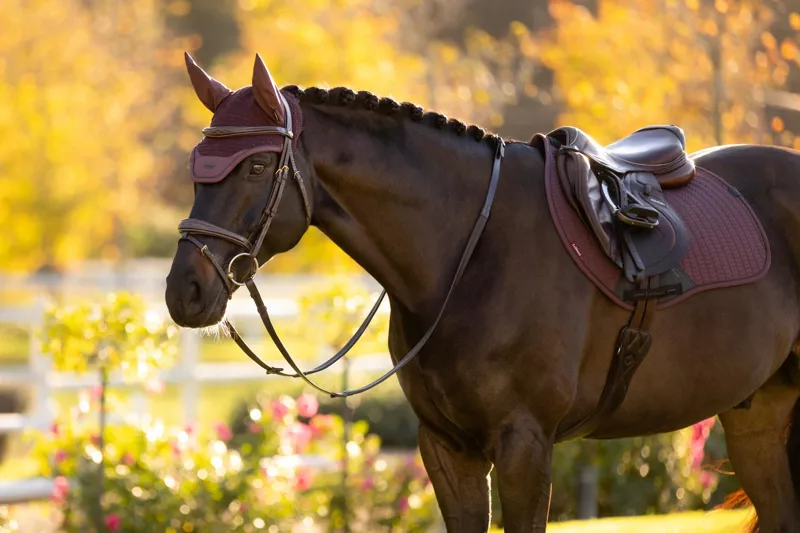 LeMieux Essence Acoustic Fly Hood in Damson-3