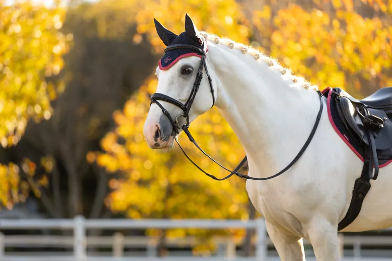 LeMieux Classic Fly Hood Navy/Cranberry-2