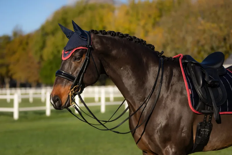 LeMieux Loire Fly Hood Navy/Cranberry-2