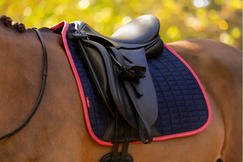 LeMieux Suede Dressage Square Navy/Cranberry-2