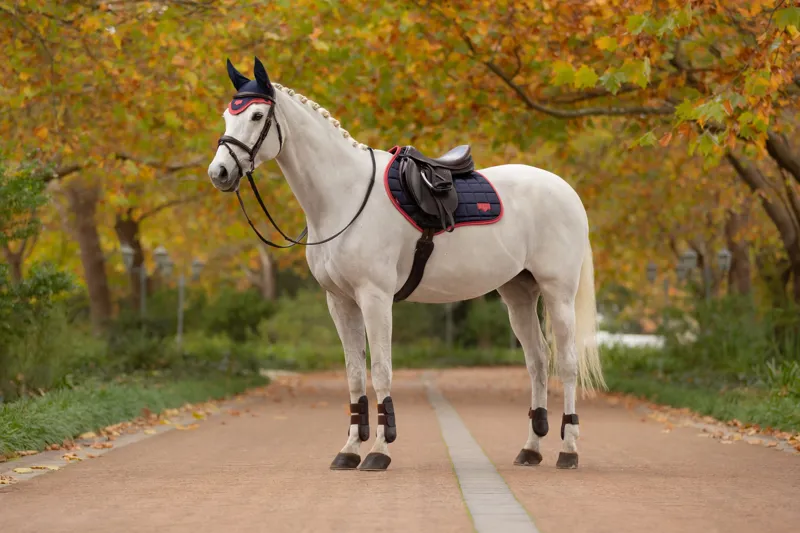 LeMieux Loire Classic Close Contact Square Navy/Cranberry-1