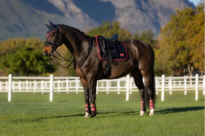 LeMieux Loire Classic Dressage Square Navy/Cranberry-4