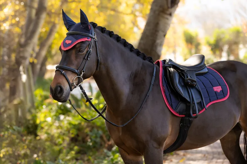 LeMieux Loire Classic GP Square Navy/Cranberry-2