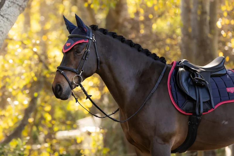 LeMieux Loire Classic GP Square Navy/Cranberry-3