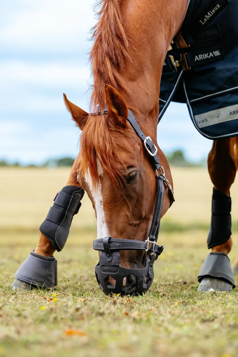 LeMieux Noma Grazing Muzzle in Black-2