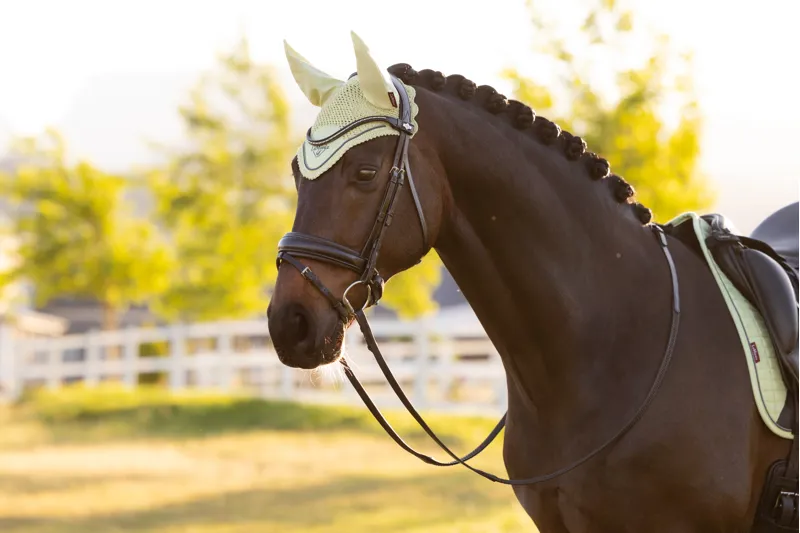 LeMieux Classic Fly Hood in Macaron-1