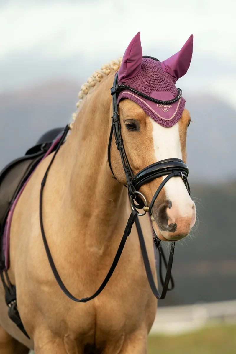 LeMieux Classic Fly Hood in Mallow-1