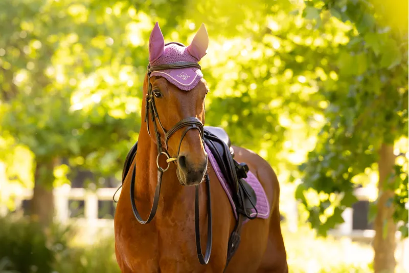 LeMieux Classic Fly Hood in Mallow-2