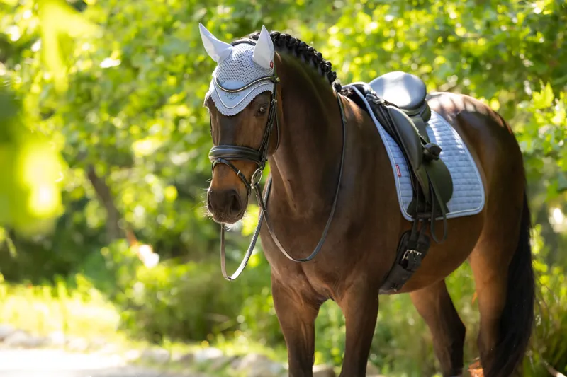 LeMieux Classic Fly Hood Powder Blue-1