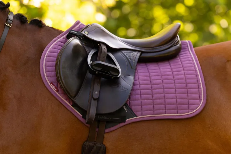 LeMieux Suede Close Contact Square in Mallow-1