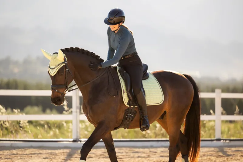 LeMieux Suede Dressage Square in Macaron-4