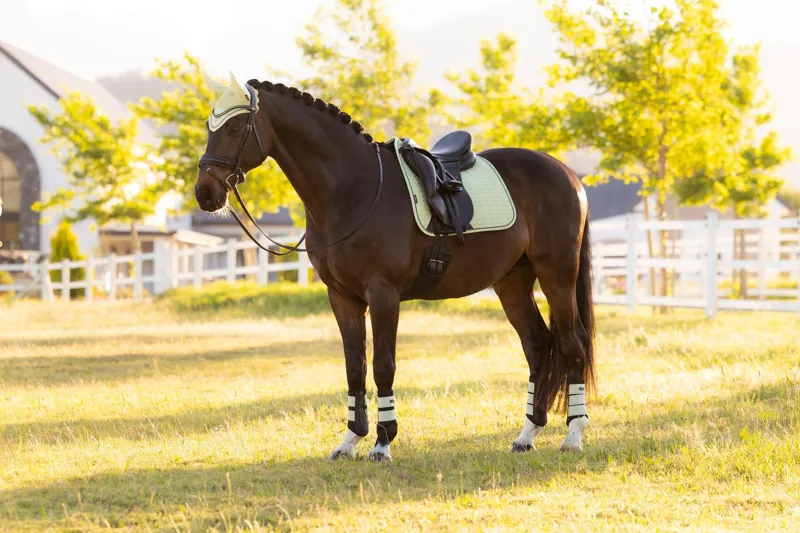 LeMieux Suede Dressage Square in Macaron-5