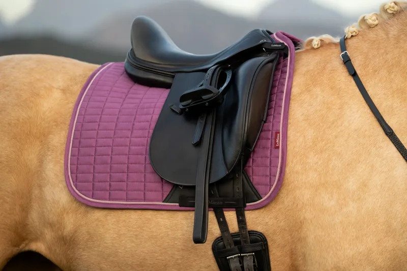 LeMieux Suede Dressage Square in Mallow-1