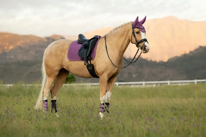 LeMieux Suede Dressage Square in Mallow-3