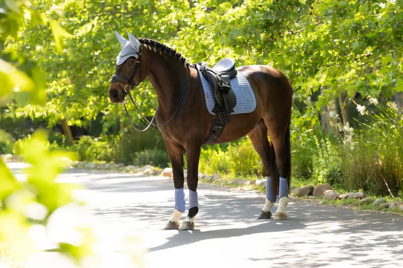 LeMieux Suede Dressage Square in Powder Blue-4